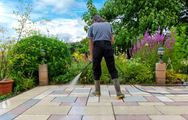 Best Animal Enclosure Cleaning  in Woods Cross, UT
